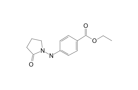 4-[(2-ketopyrrolidin-1-yl)amino]benzoic acid ethyl ester