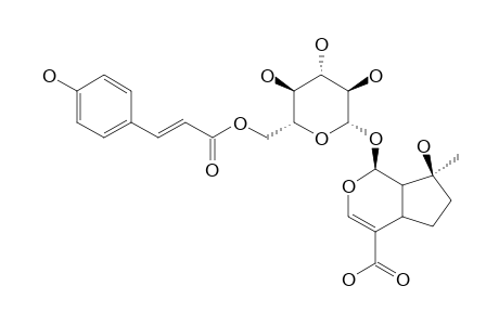 ALBIDOSIDE;6'-O-COUMAROYLMUSSAENOSIDIC-ACID