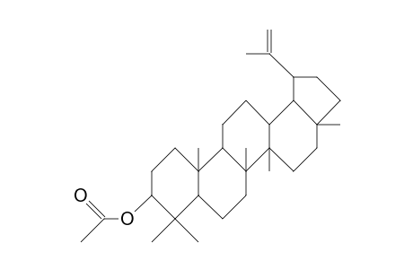 3b-Acetoxy-lup-20(29)-ene