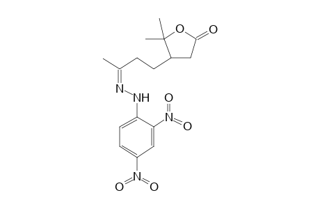 4-((3Z)-3-[(2,4-Dinitrophenyl)hydrazono]butyl)-5,5-dimethyldihydro-2(3H)-furanone