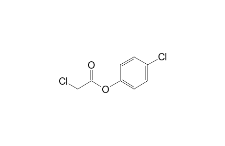 Chloroacetic acid, 4-chlorophenyl ester