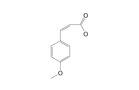 CIS-PARA-METHOXYCINNAMIC-ACID