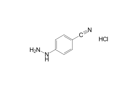 4-Cyanophenylhydrazine, hydrochloride