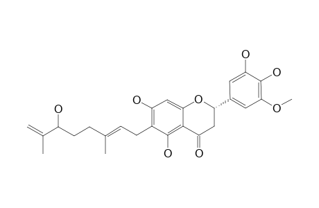 4',5,5',7-TETRAHYDROXY-3'-METHOXY-6-[6-HYDROXY-3,7-DIMETHYL-2-(E),7-OCTADIENYL]-FLAVANONE