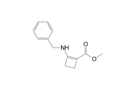 Methyl 2-(Benzylamino)cyclobut-1-enecarboxylate