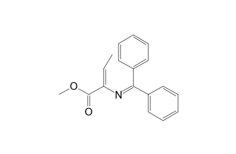 (Z)-2-(benzhydrylideneamino)but-2-enoic acid methyl ester