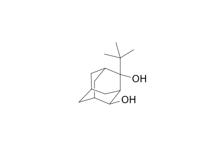 2(a)-t-butyladamantane-2(e),4(e)-diol