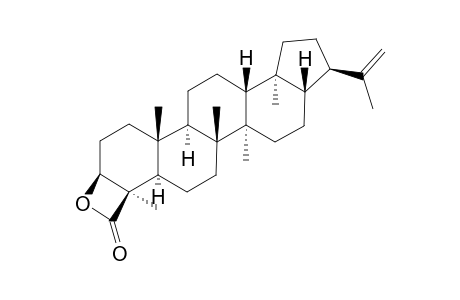 MORETENOLACTONE;3-BETA-HYDROXY-21-ALPHA-H-HOP-22(29)-EN-24-OIC-ACID