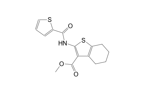 methyl 2-[(2-thienylcarbonyl)amino]-4,5,6,7-tetrahydro-1-benzothiophene-3-carboxylate