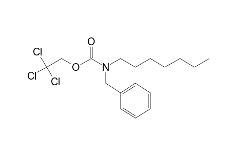 Carbonic acid, monoamide, N-benzyl-N-heptyl-, 2,2,2-trichloroethyl ester