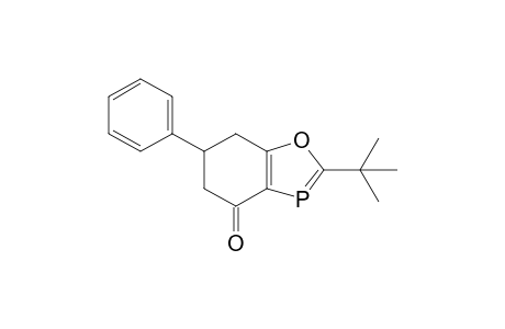 2-tert-butyl-6-phenyl-6,7-dihydro-5H-1,3-benzoxaphosphol-4-one