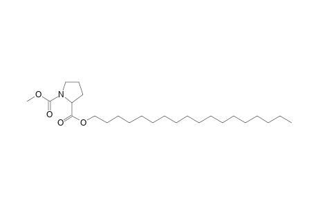 L-Proline, N-methoxycarbonyl-, octadecyl ester