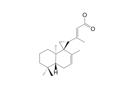 FORSKODITERPENOSIDE-A;(5-BETA,9-BETA,10-ALPHA,12-BETA)-9,12-CYCLO-(7,13E)-LABDA-DIEN-15-OIC-ACID