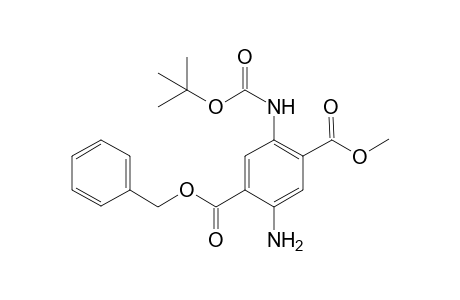 1-Benzyl 4-Methyl 2-amino-5-[(t-butoxycaronyl)amino]-terephthalate