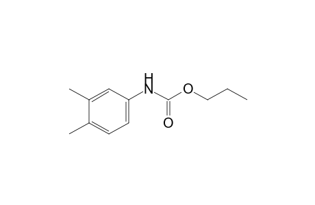 3,4-dimethylcarbanilic acid, propyl ester