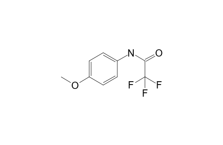 2,2,2,-trifluoro-p-acetanisidide