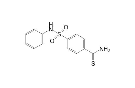 p-(phenylsulfamoyl)thiobenzamide