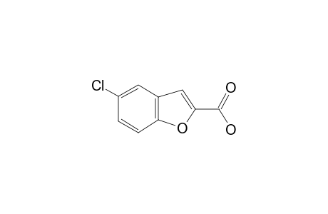 5-Chlorobenzofuran-2-carboxylic acid