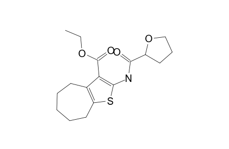 2-[[oxo(2-oxolanyl)methyl]amino]-5,6,7,8-tetrahydro-4H-cyclohepta[b]thiophene-3-carboxylic acid ethyl ester