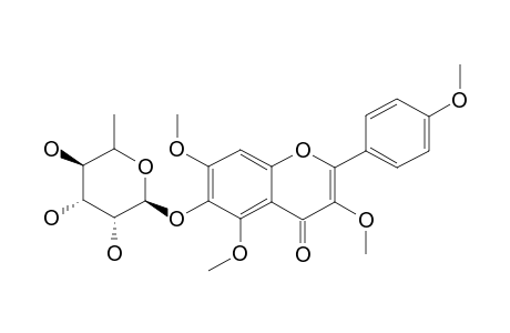 6-HYDROXY-3,5,7,4'-TETRAMETHOXYFLAVONE-6-O-ALPHA-L-RHAMNOPYRANOSIDE