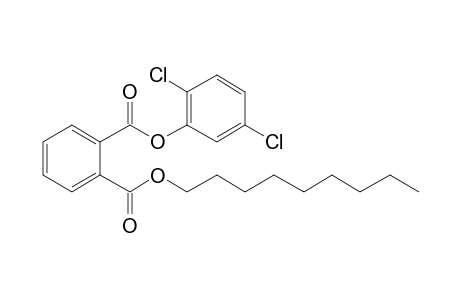 Phthalic acid, 2,5-dichlorophenyl nonyl ester