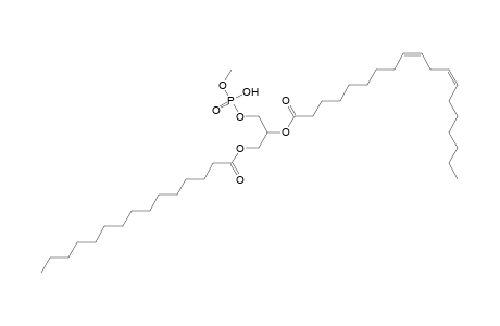 PMeOH 15:0_19:2