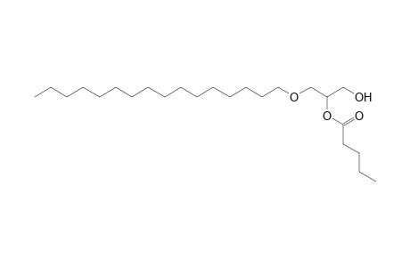 DG O-16:0_5:0