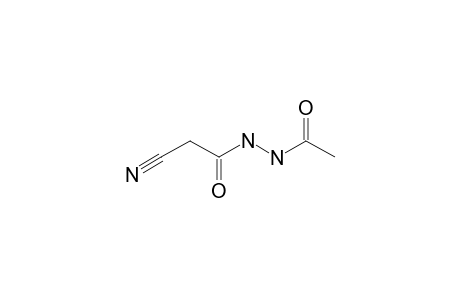 1-acetyl-2-(cyanoacetyl)hydrazine