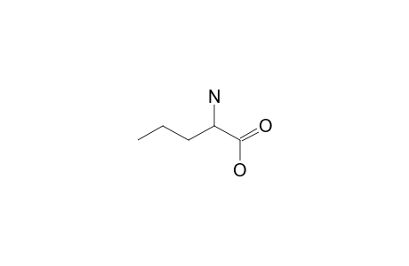 norvaline