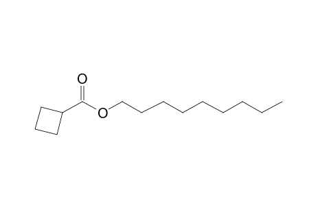 Cyclobutanecarboxylic acid, nonyl ester