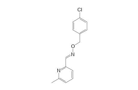 6-methylpicolinaldehyde, O-(p-chlorobenzyl)oxime