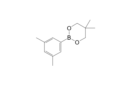 2-(3,5-Dimethylphenyl)-5,5-dimethyl-1,3,2-dioxaborinane