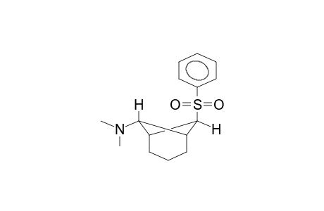 7-ENDO-DIMETHYLAMINO-6-EXO-PHENYLSULPHONYLNORPINANE