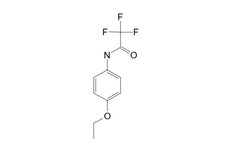 2,2,2,-trifluoro-p-acetophenetidide