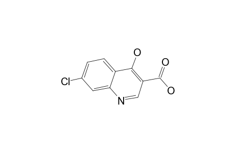 7-Chloro-4-hydroxy-3-quinolinecarboxylic acid