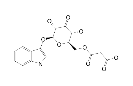 ISATAN-A;1H-INDOL-3-YL-(6'-O-CARBOXYACETYL)-BETA-D-RIBOHEX-3'-ULOPYRANOSIDE