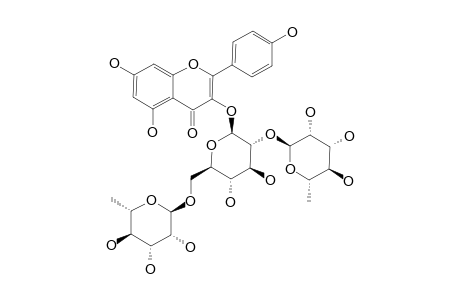 KAEMPFEROL-3-O-(2'',6''-DI-O-ALPHA-RHAMNOPYRANOSYL)-BETA-D-GLUCOPYRANOSIDE