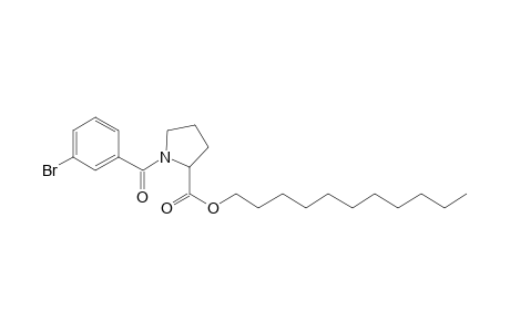 L-Proline, N-(3-bromobenzoyl)-, undecyl ester