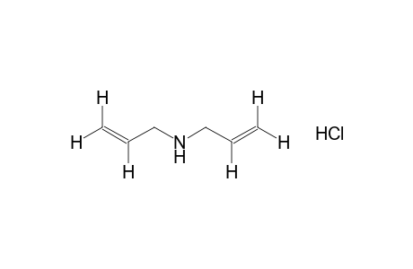 diallylamine, hydrochloride