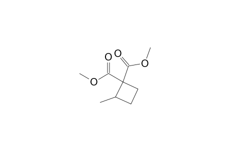 Dimethyl 2-methyl-1,1-cyclobutanedicarboxylate