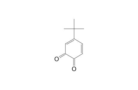 4-tert-Butyl-1,2-benzoquinone