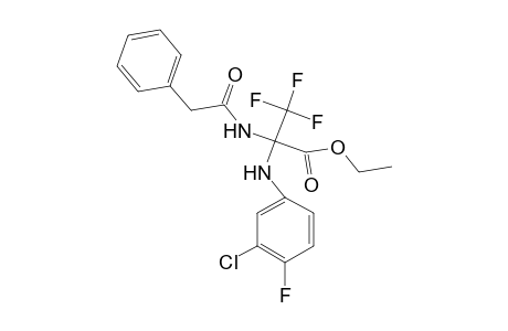 Ethyl 2-(3-chloro-4-fluoroanilino)-3,3,3-trifluoro-2-(2-phenylacetamido)propionate