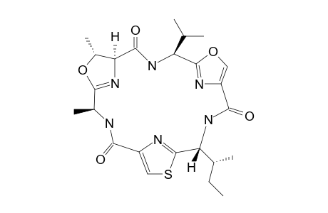 AERUCYCLAMIDE_C