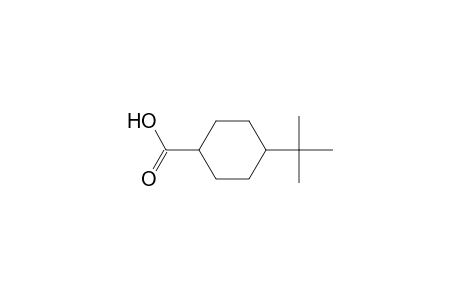 4-tert-Butylcyclohexanecarboxylic acid