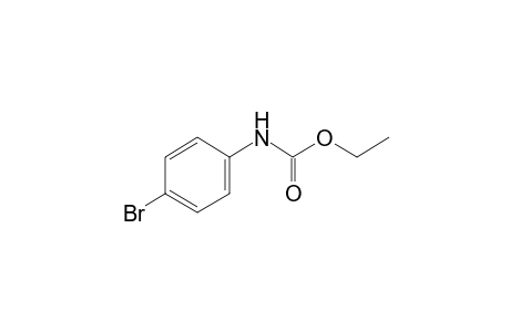 p-bromocarbanilic acid, ethyl ester