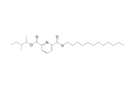 2,6-Pyridinedicarboxylic acid, dodecyl 3-methylpent-2-yl ester