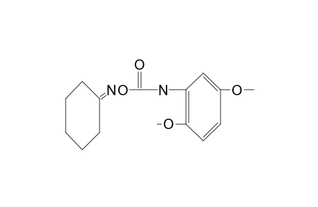cyclohexanone, O-[(2,5-dimethoxyphenyl)carbamoyl]oxime
