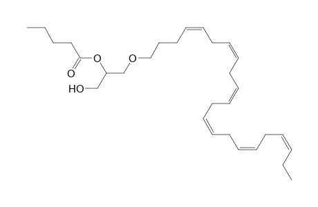 DG O-22:6_5:0