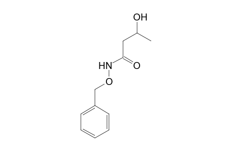 3-Hydroxybutanamide, N-phenylmethoxy-