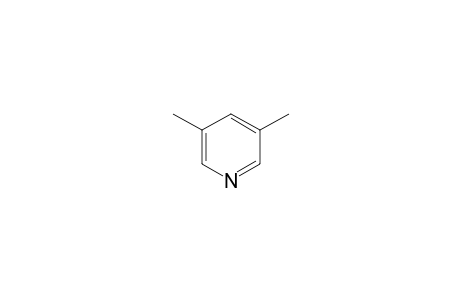 3,5-Dimethylpyridine